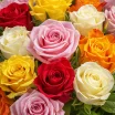 Букет из разноцветных роз 3